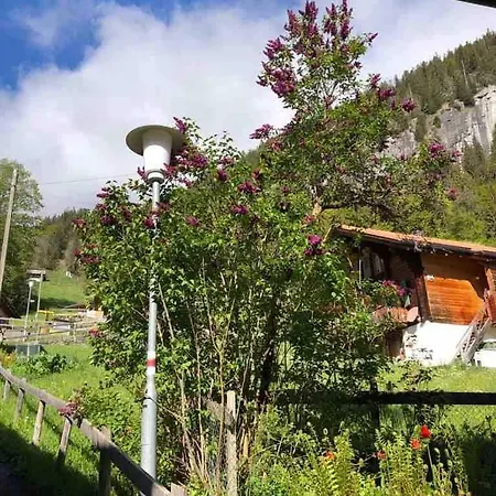 Apartamento A Charming Swiss Family Daheim *