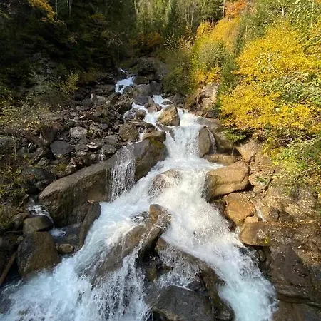 A Charming Swiss Family Daheim Isenfluh