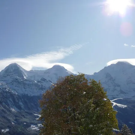 A Charming Swiss Family Daheim