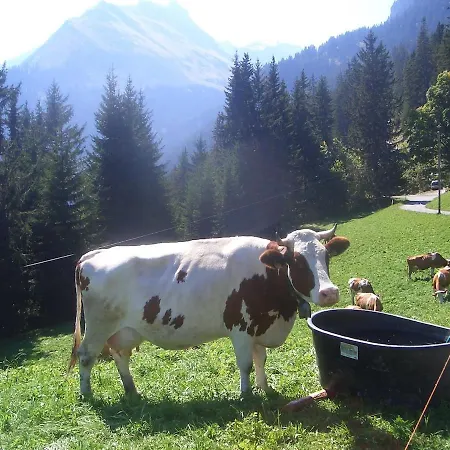 A Charming Swiss Family Daheim Isenfluh