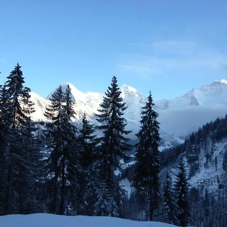 아파트 A Charming Swiss Family Daheim