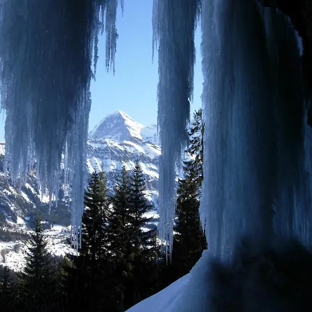 A Charming Swiss Family Daheim * Isenfluh