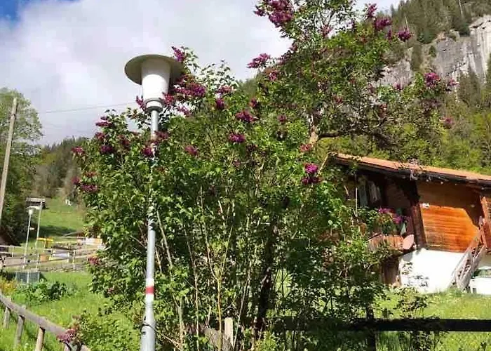 公寓 A Charming Swiss Family Daheim *