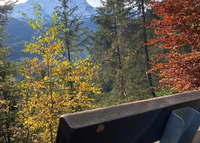 A Charming Swiss Family Daheim * Isenfluh