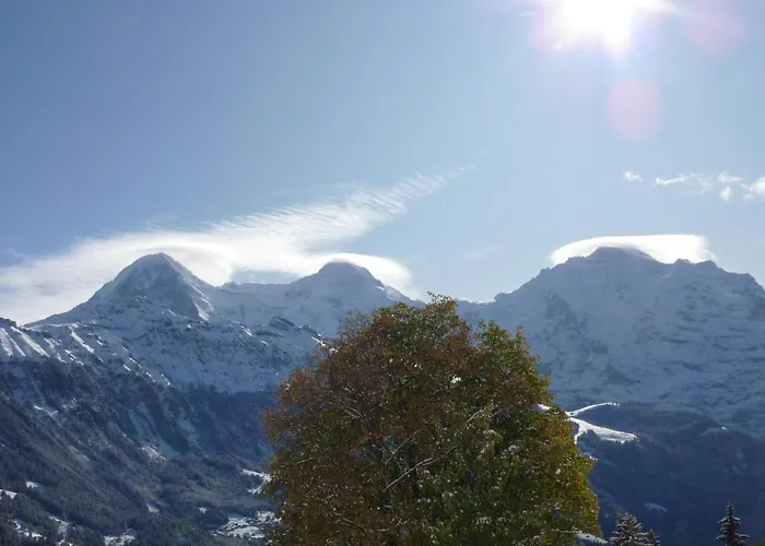 A Charming Swiss Family Daheim