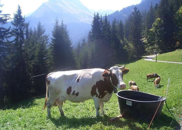A Charming Swiss Family Daheim Isenfluh