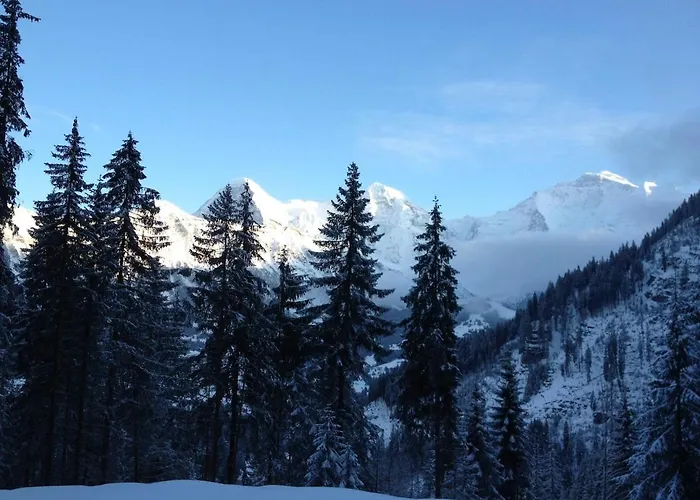 公寓 A Charming Swiss Family Daheim