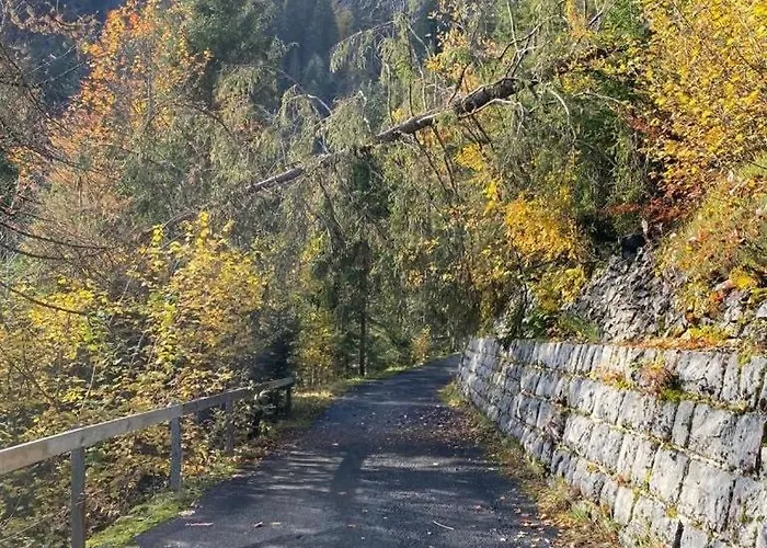 公寓 A Charming Swiss Family Daheim