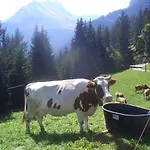 A Charming Swiss Family Daheim Isenfluh